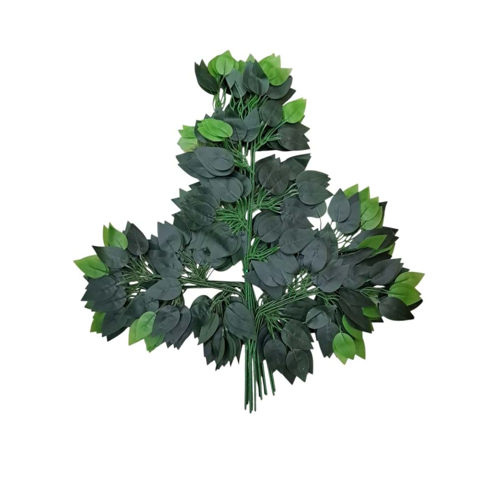 YAĞLI YEŞİL BENJAMİN