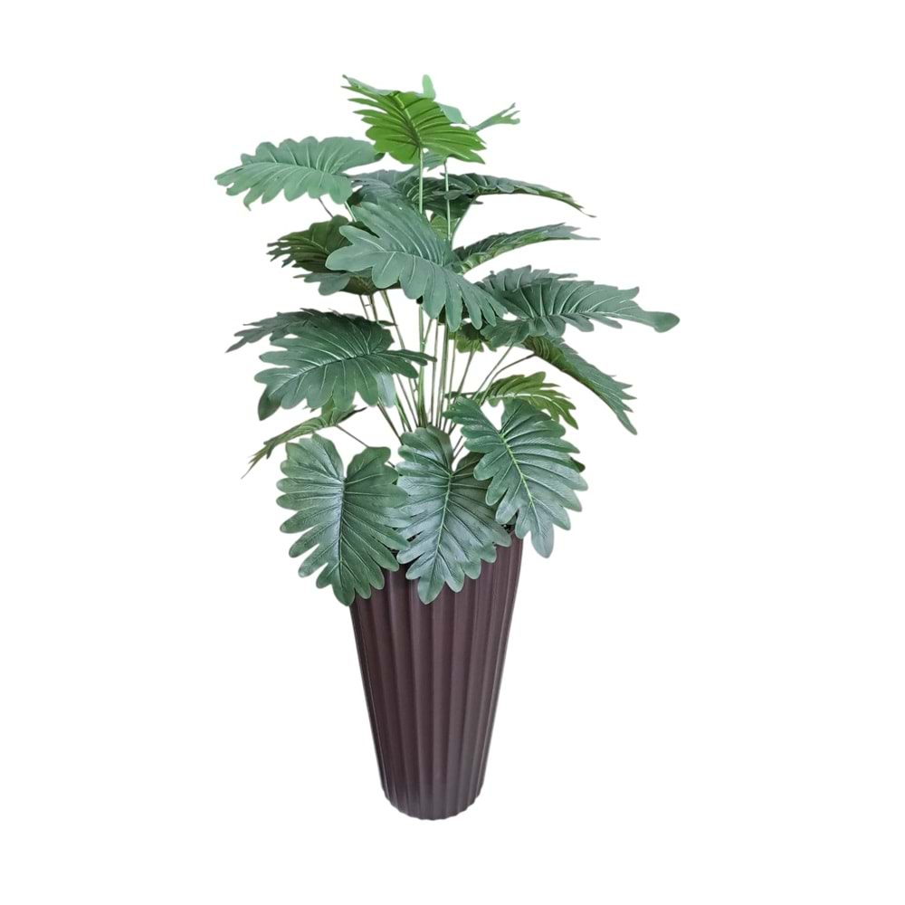 MONSTERA AĞAÇ 80 CM