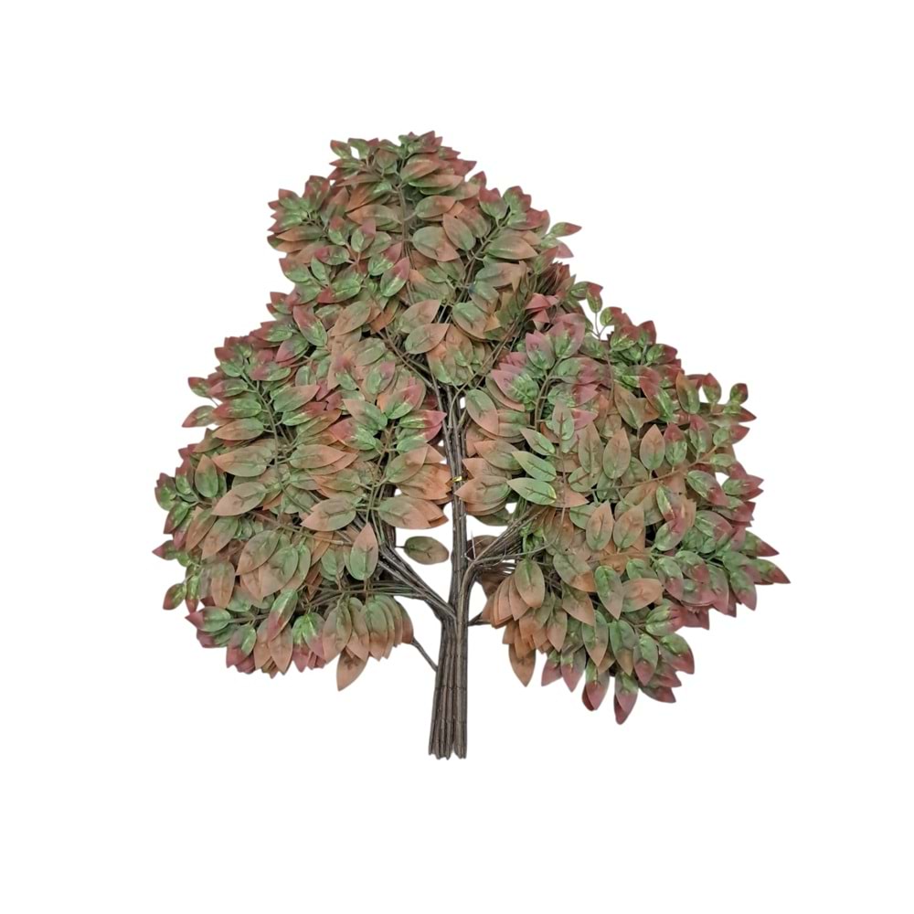 PİKAN CEVİZ YAPRAK