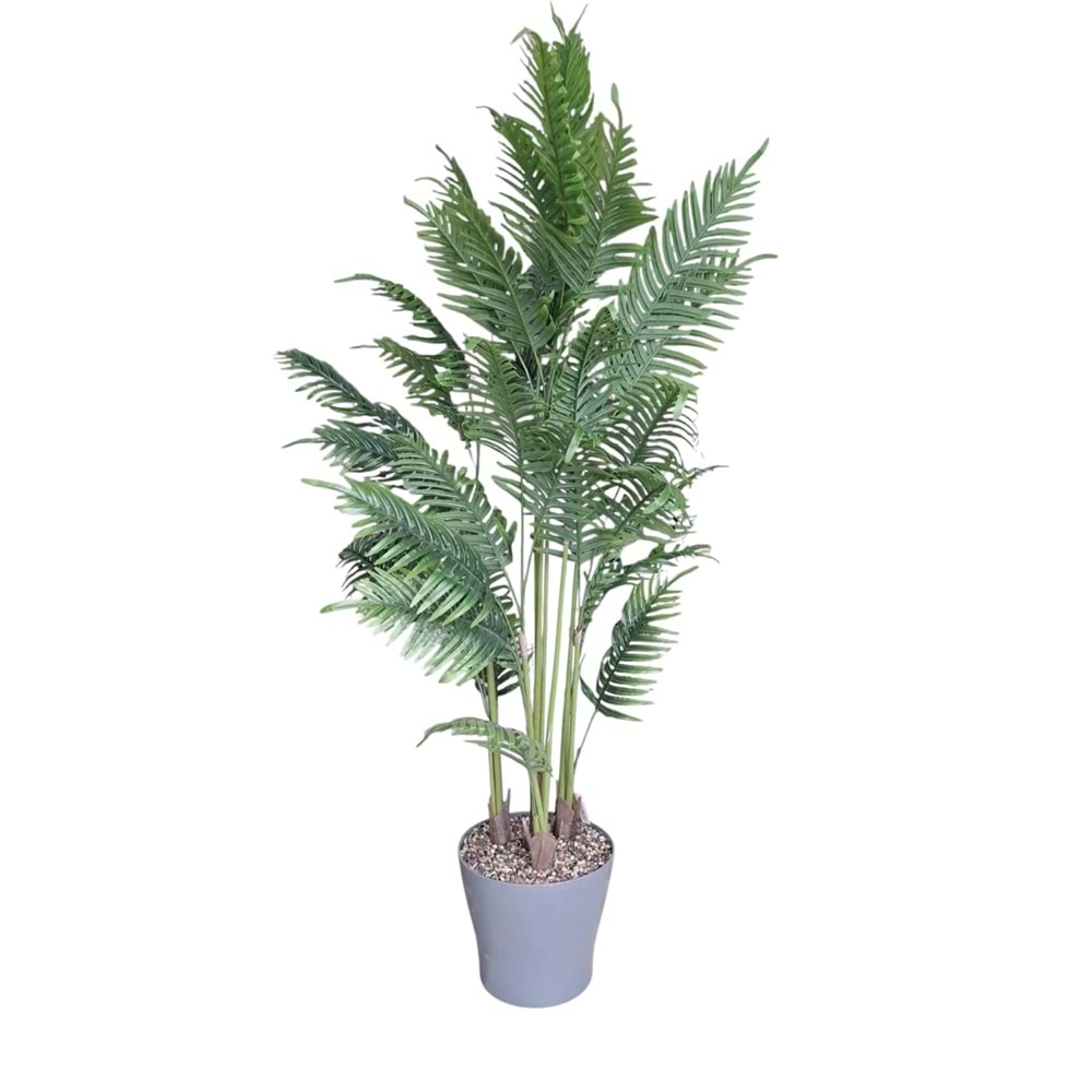 AREKA 4 GÖVDE 160 CM