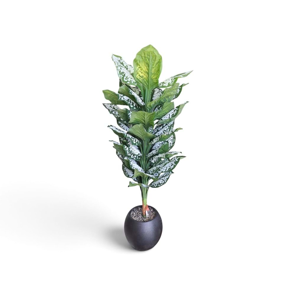 DİFENBAHYA 170 CM