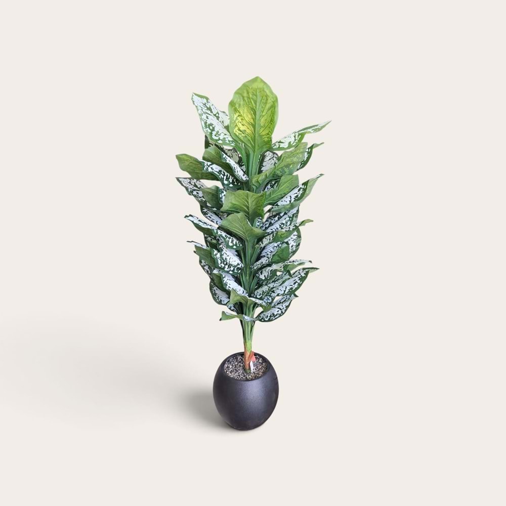 DİFENBAHYA 170 CM