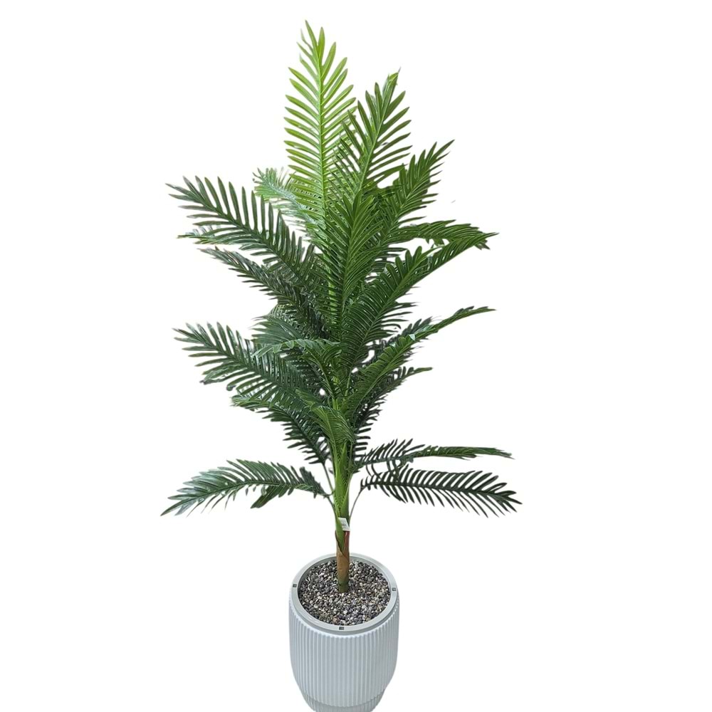 AREKA 160 CM
