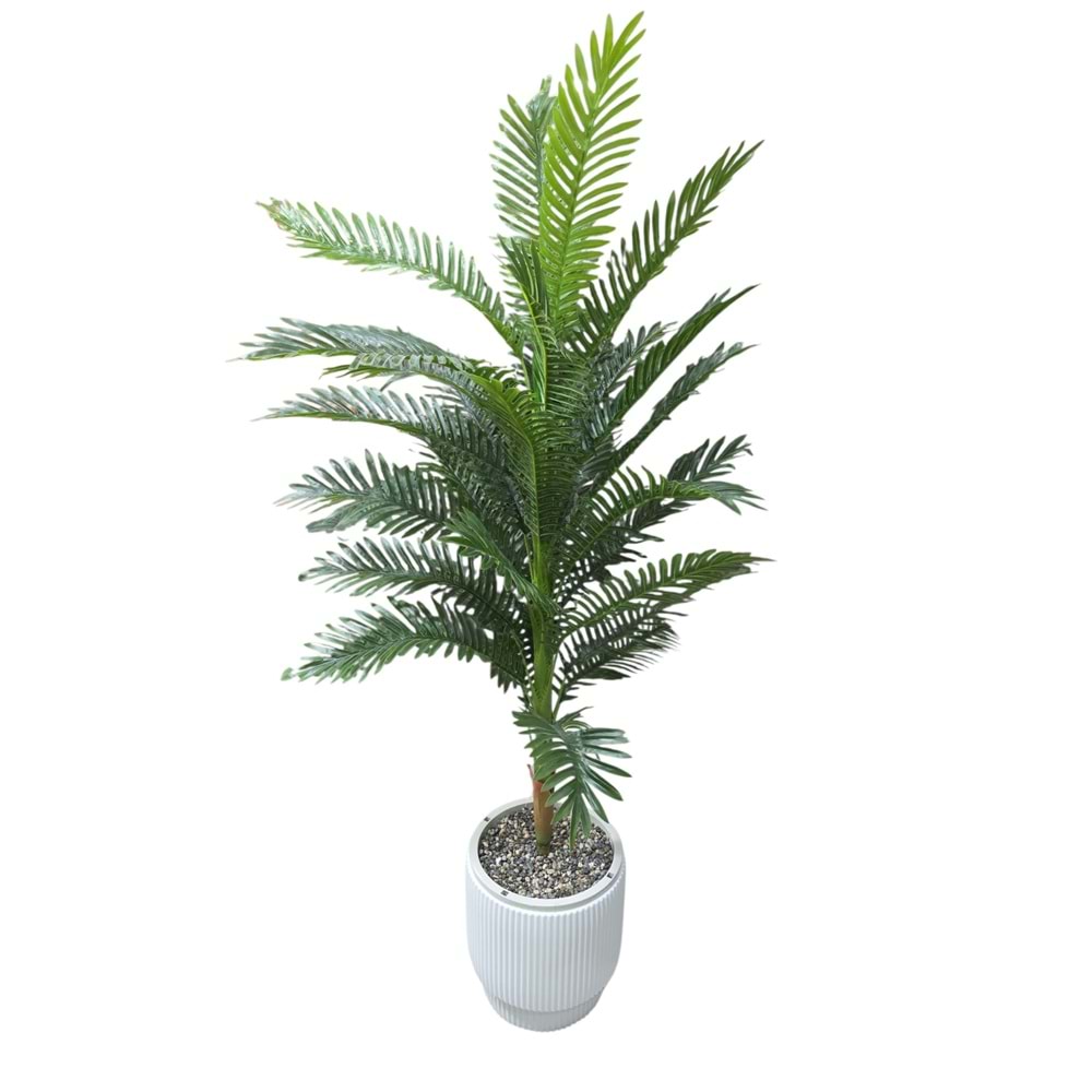AREKA 160 CM