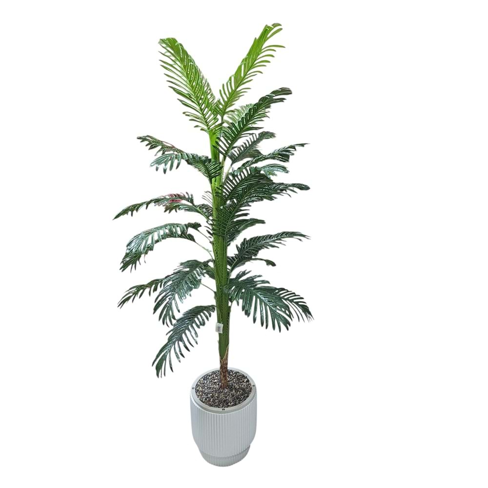 ARAKA AĞAÇ 1,70 CM