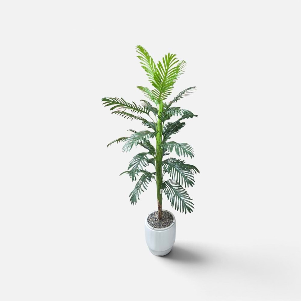 ARAKA AĞAÇ 1,70 CM