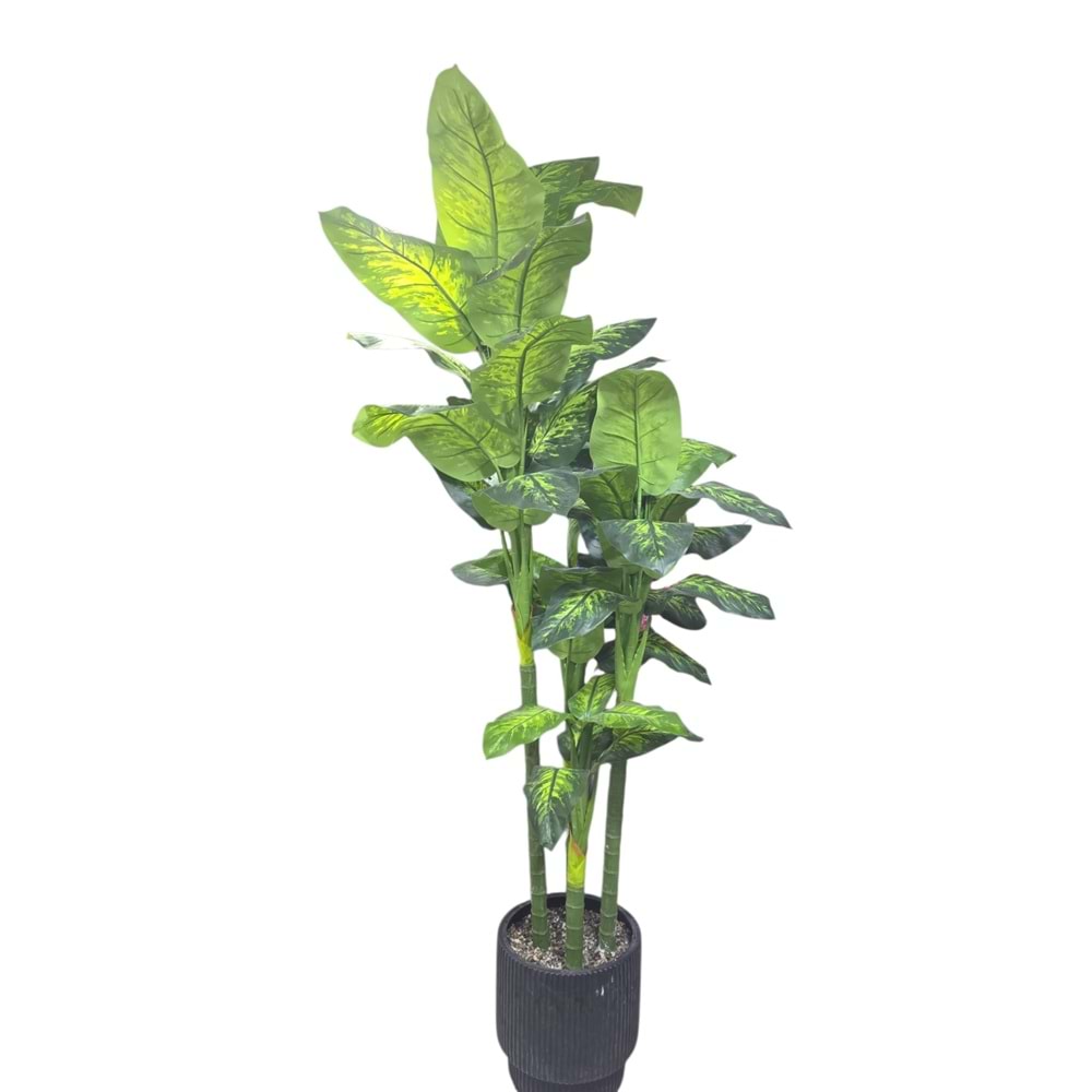 AĞAÇ4 GÖVDE 2,20 CM