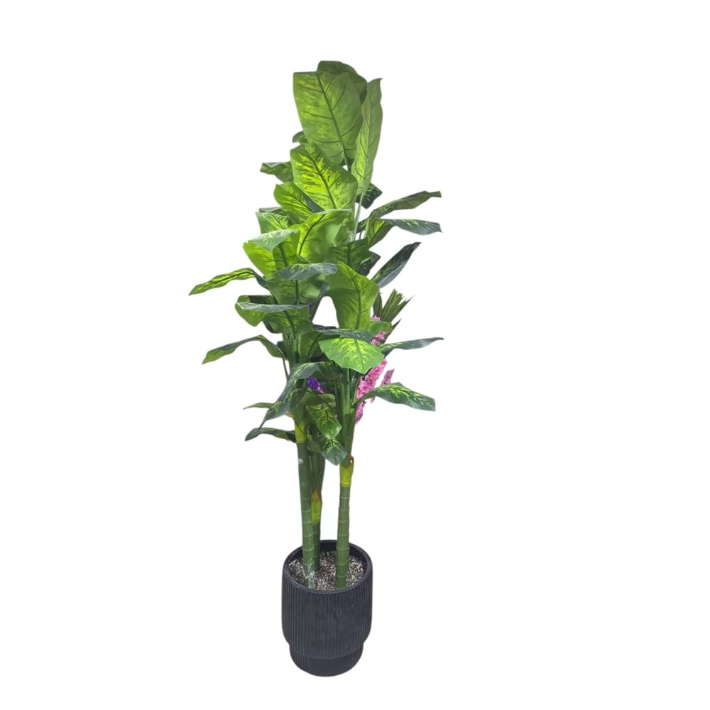 AĞAÇ4 GÖVDE 2,20 CM
