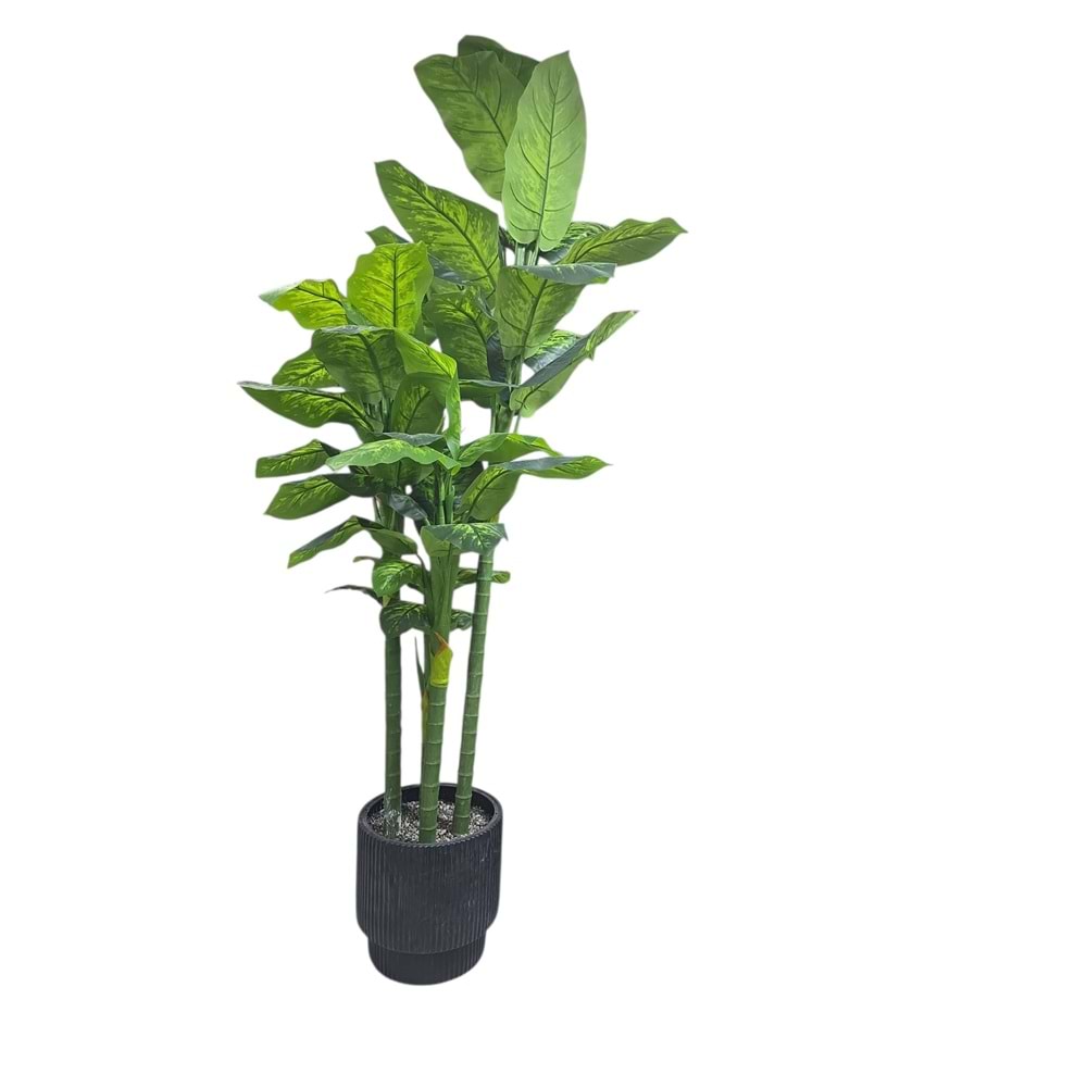 AĞAÇ4 GÖVDE 2,20 CM