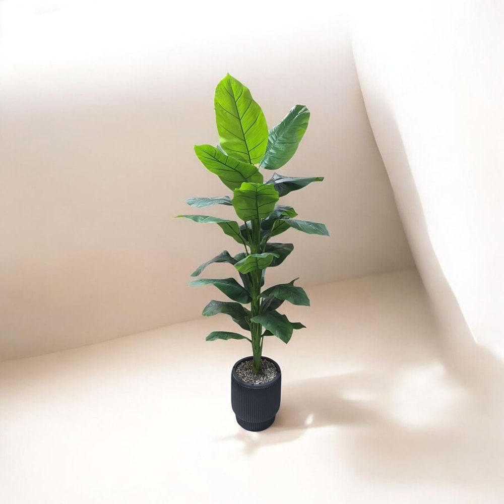 DİFENBAHYA 180 CM