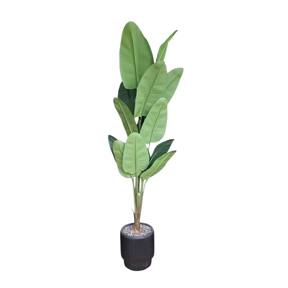 STARLİÇE 200 CM
