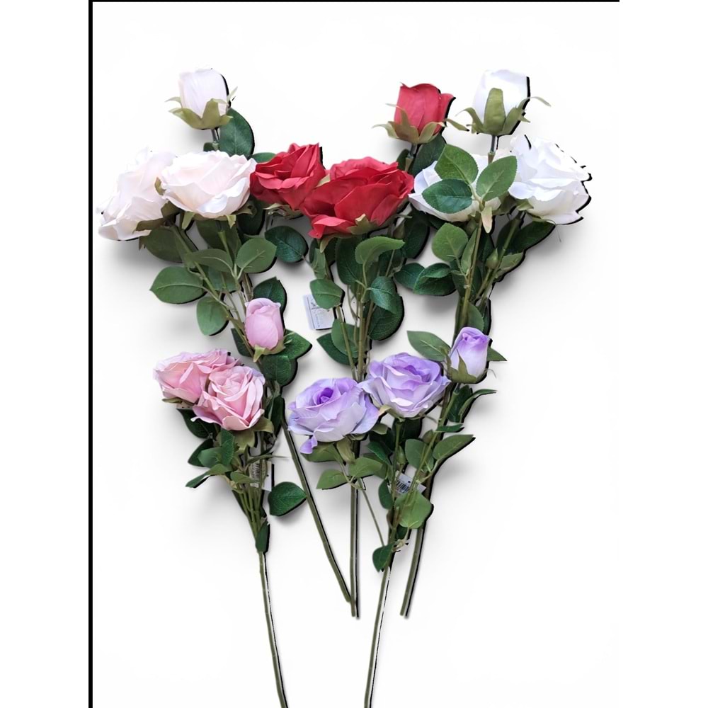 GÜL 3 DAL