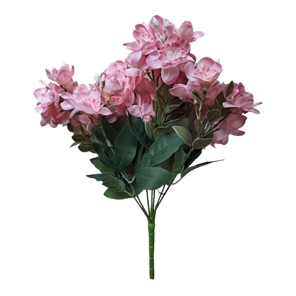 DEMET YASEMİN ÇİÇEĞİ