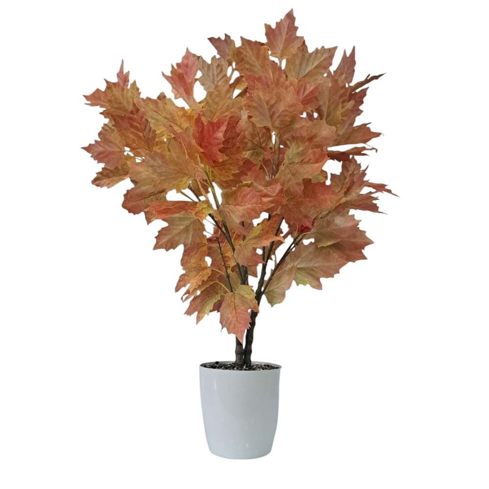 ÇINAR AĞAÇ 100 CM