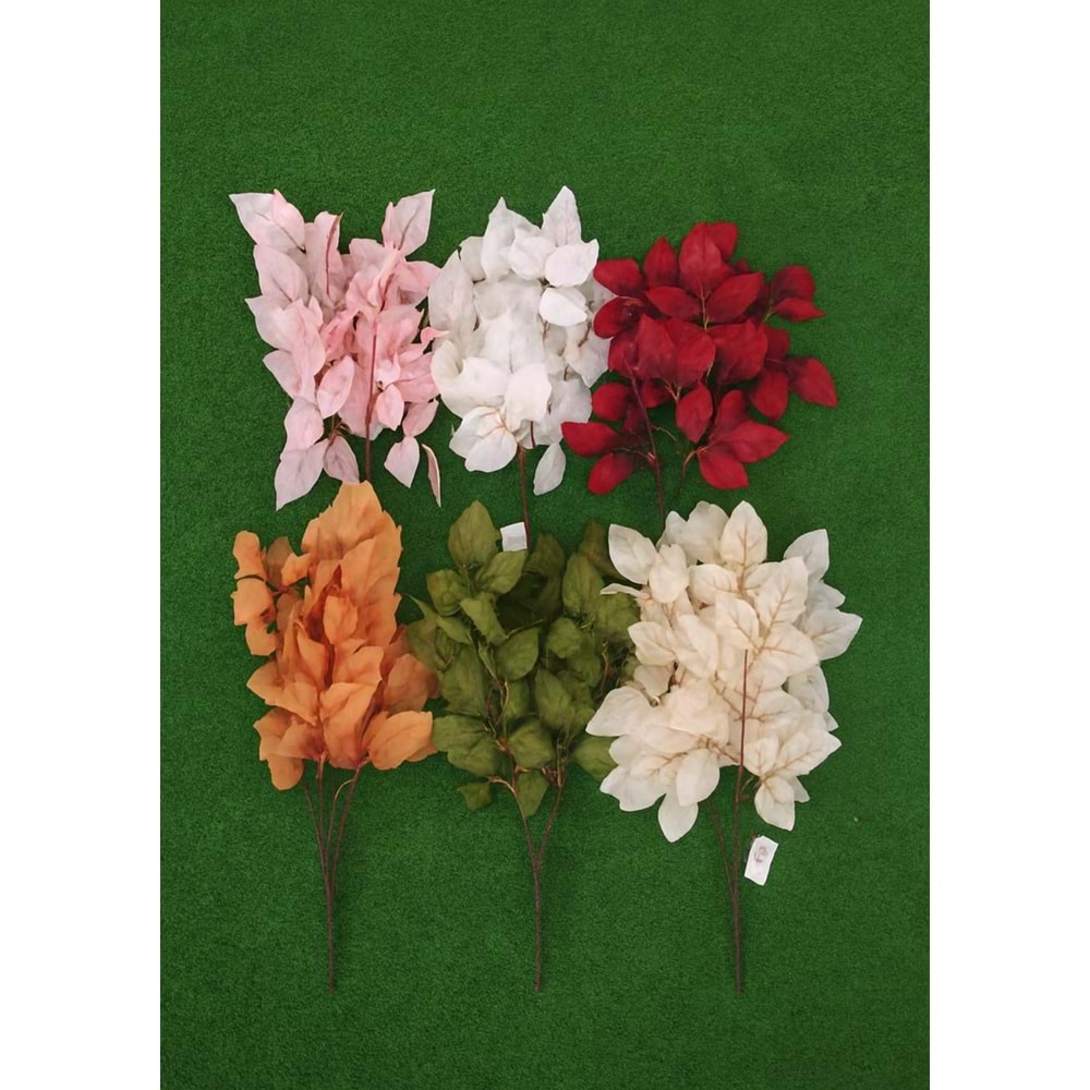 DEMET AKÇAAĞAÇ YAPRAĞI