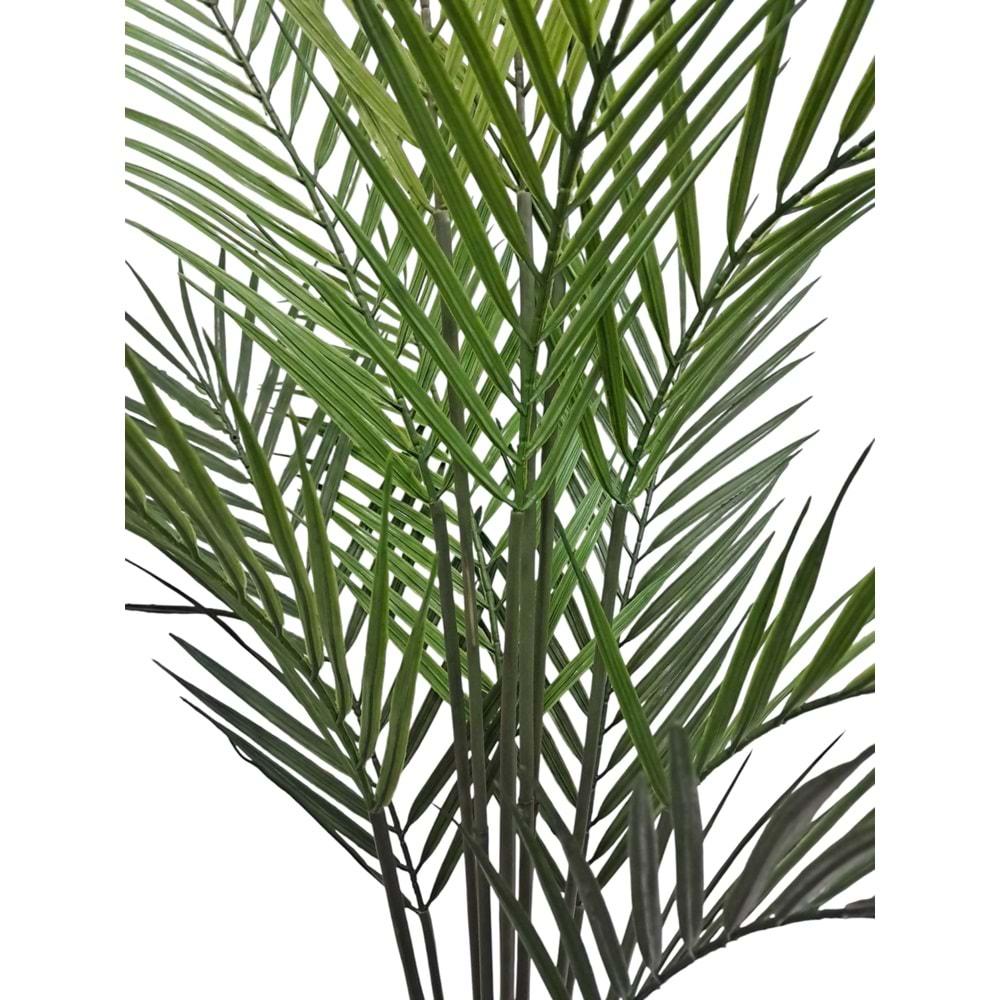 AREKA AĞAÇ 90 CM