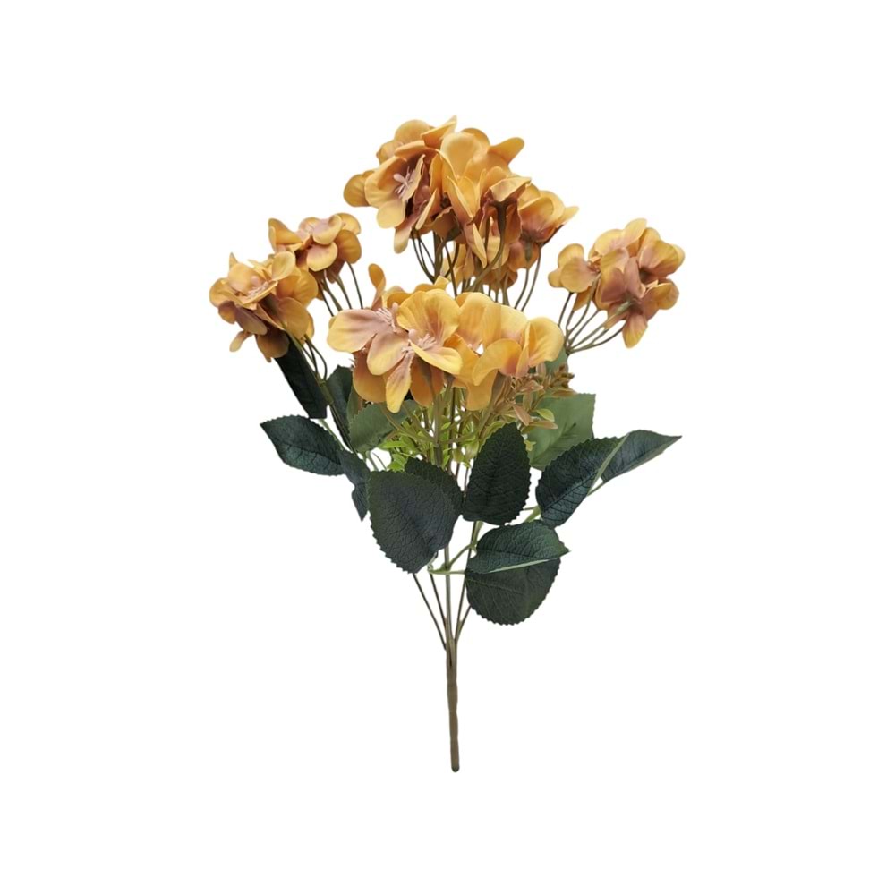 ORTANCA DEMET ÖGÇ-0074