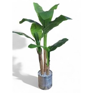 MUZ AĞACI 3 LÜ 1,60 CM