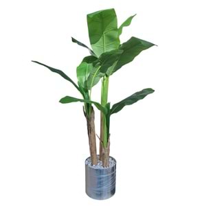 MUZ AĞACI 3 LÜ 1,60 CM