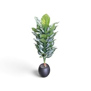 DİFENBAHYA 170 CM