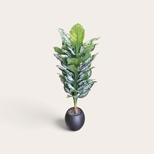 DİFENBAHYA 170 CM