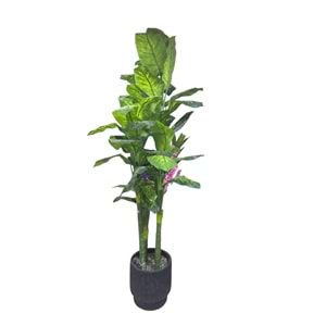 AĞAÇ4 GÖVDE 2,20 CM