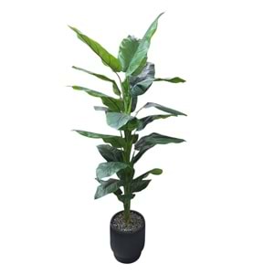 DİFENBAHYA 180 CM