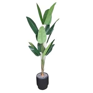 STARLİÇE 200 CM