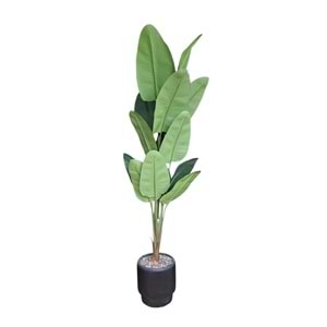 STARLİÇE 200 CM