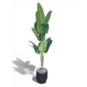 STARLİÇE 200 CM
