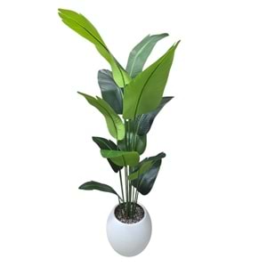 STARLİÇE 160 CM