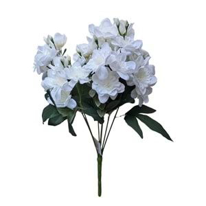 DEMET YASEMİN ÇİÇEĞİ