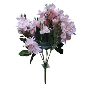 DEMET YASEMİN ÇİÇEĞİ