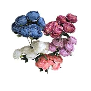 DEMET ŞAKAYIT 7 Lİ