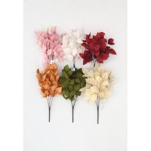 DEMET AKÇAAĞAÇ YAPRAĞI