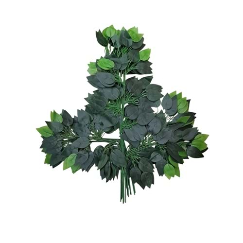 YAĞLI YEŞİL BENJAMİN