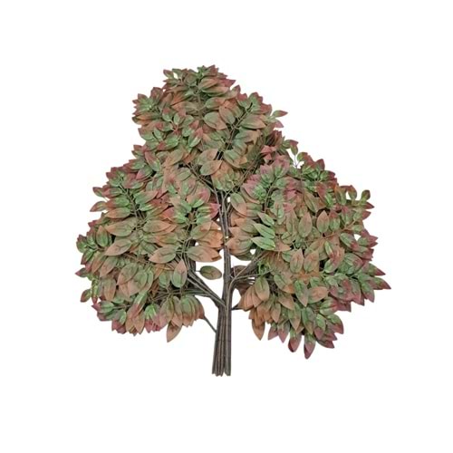 PİKAN CEVİZ YAPRAK