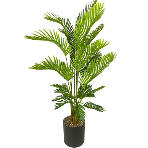 AREKA 4 GÖVDE 160 CM