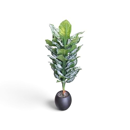 DİFENBAHYA 170 CM