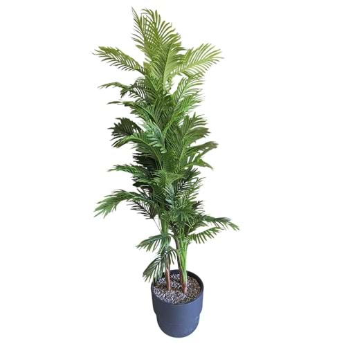 AREKA 3 GÖVDE 200 CM