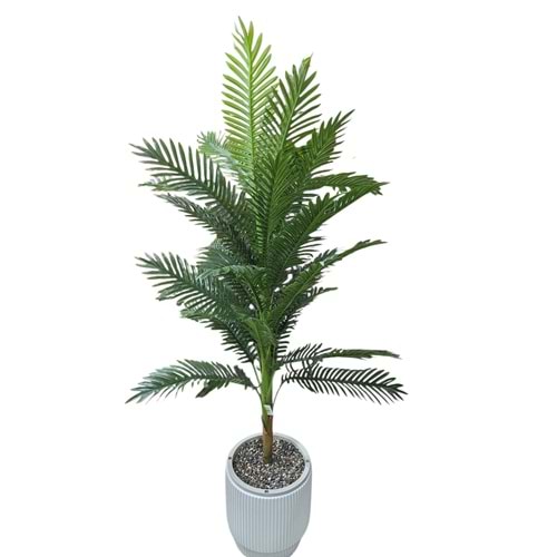 AREKA 160 CM