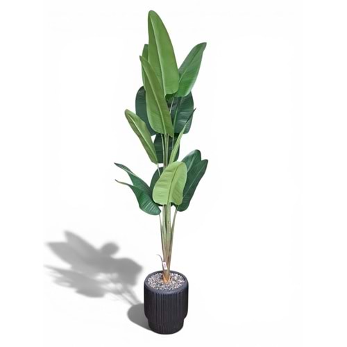 STARLİÇE 200 CM