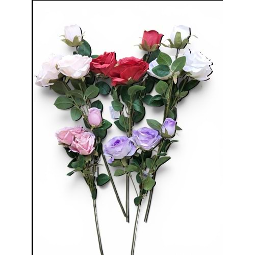 GÜL 3 DAL