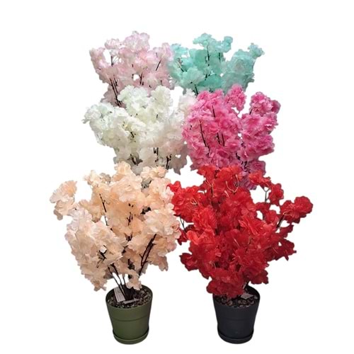 BAHARDALI 5 DAL DEMET