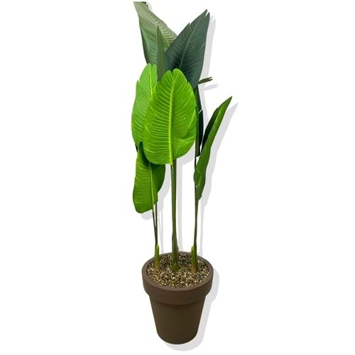 STARLİÇE 160 CM