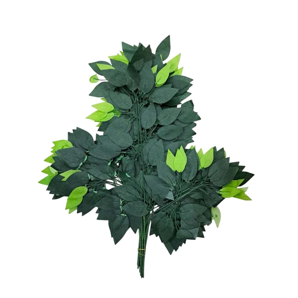 BENJAMİN YAPRAK
