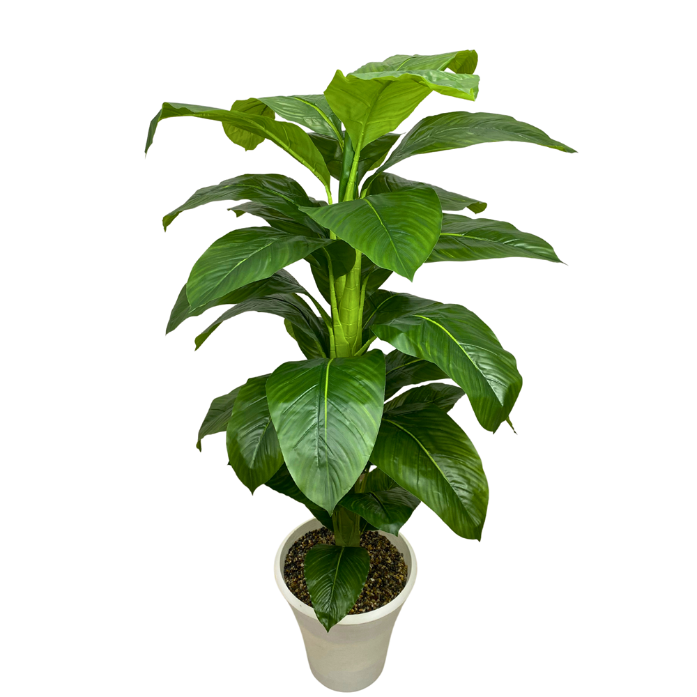 DİFENBAHYA 160 CM