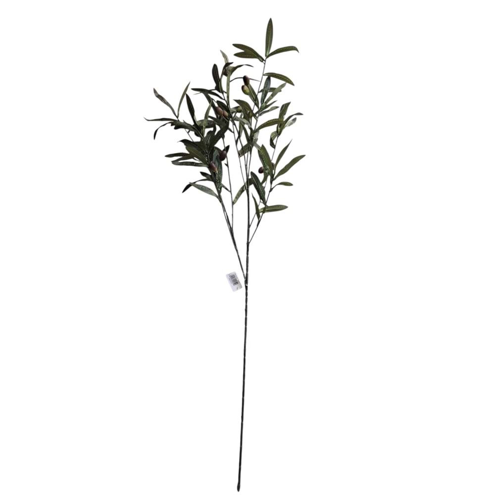 ZEYTİN DALI