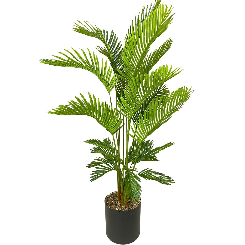 AREKA 4 GÖVDE 160 CM