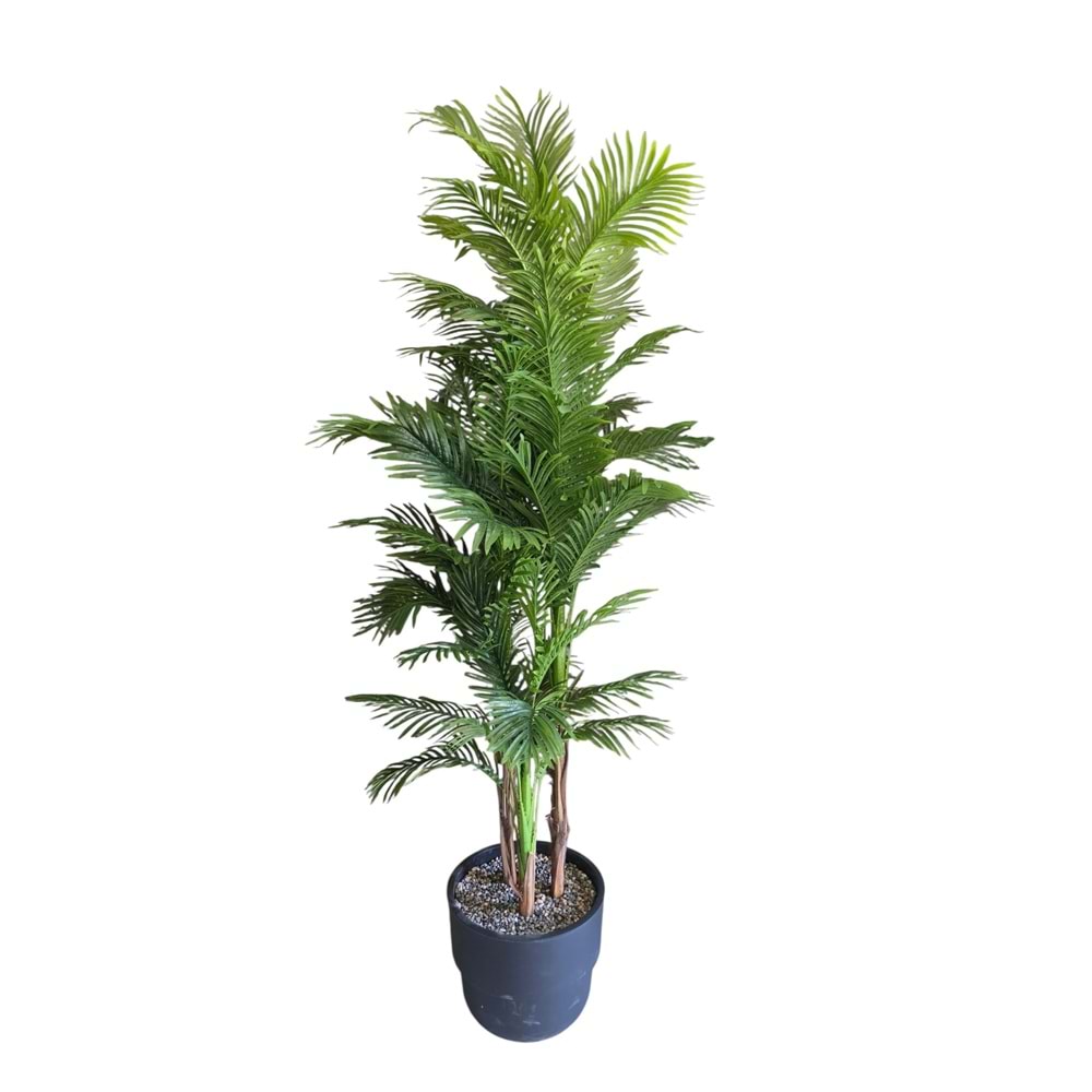 AREKA 3 GÖVDE 200 CM